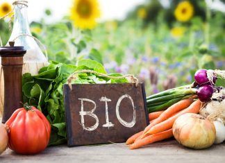¿Por qué consumir productos ecológicos certificados?