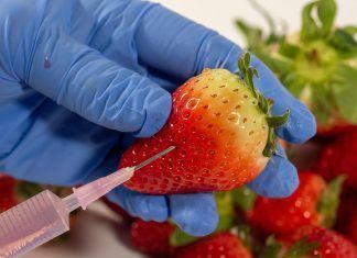 Oligoelementos, los grandes equilibradores en la medicina funcional Oligoterapia