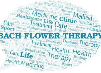 Terapia Floral, más que remedios: una vía hacia el desarrollo interior terapia floral