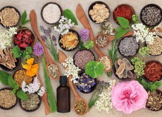 La Yemoterapia concentrada y el poder sinérgico de las plantas yemoterapia