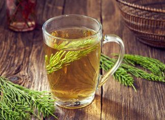 Historia y propiedades de la Cola de Caballo (Equisetum Arvense) Cola de Caballo