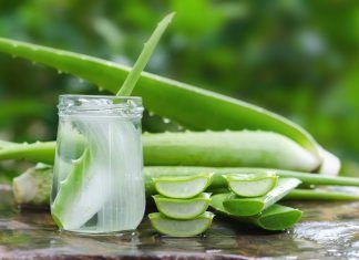 Botiquín de verano: Los 10 productos naturales imprescindibles, según COFENAT