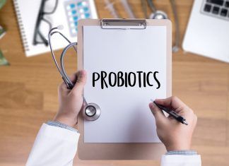Fermentos probióticos para mejorar el equilibrio de la microbiota probióticos