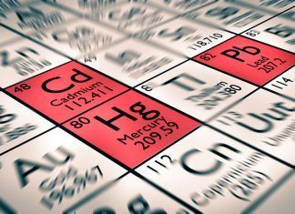 Cadmio, sustancia tóxica en los alimentos Cadmio, sustancia tóxica en los alimentos