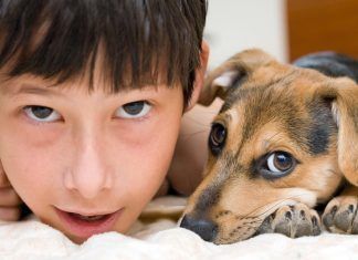 Niños y animales: más que una amistad niños y animales