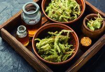 La homeopatía combatiendo el resfriado, la bronquitis y la pulmonía homeopatía resfriado