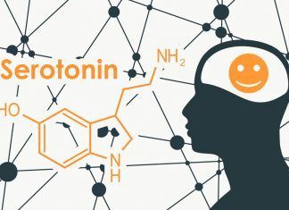 Serotonina: la hormona de la felicidad serotonina