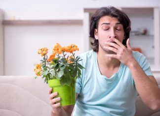 Enfermedades y trastornos más comunes en primavera enfermedades y trastornos primavera