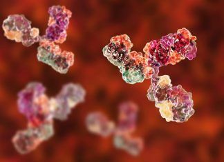 La microinmunoterapia: dialogar con el sistema inmune será la medicina del futuro microinmunoterapia