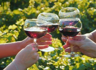 ¿Por qué crea adicción el alcohol? (2ª parte) alcohol
