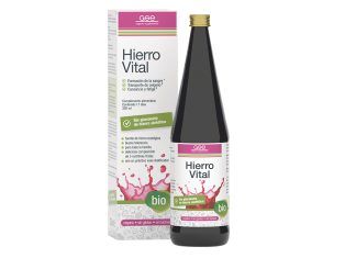 Hierro Vital 330ml, de GSE