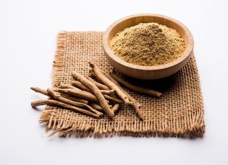 El poder de los adaptógenos: refuerzo natural para tu salud adaptógenos