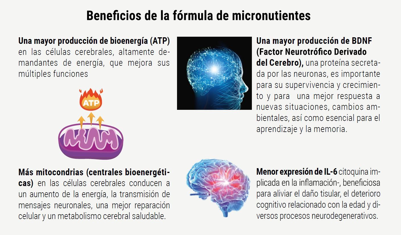 Micronutrientes