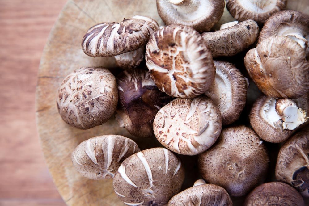 Hongos funcionales
