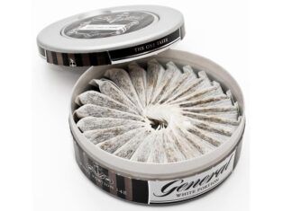 Impacto del snus entre los jóvenes snus