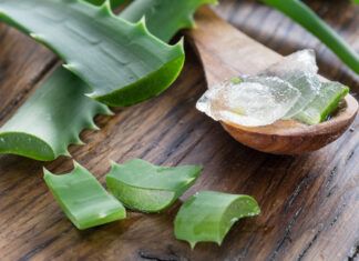 El Tribunal General de Justicia de la Unión Europea anula la prohibición de preparados de aloe vera con derivados hidroxiantracénicos aloe vera
