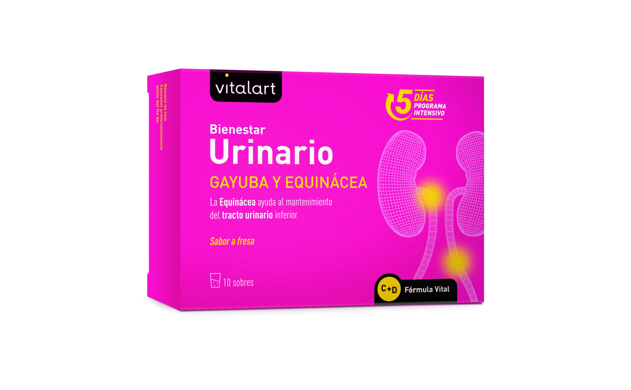 bienestar urinario vitalart