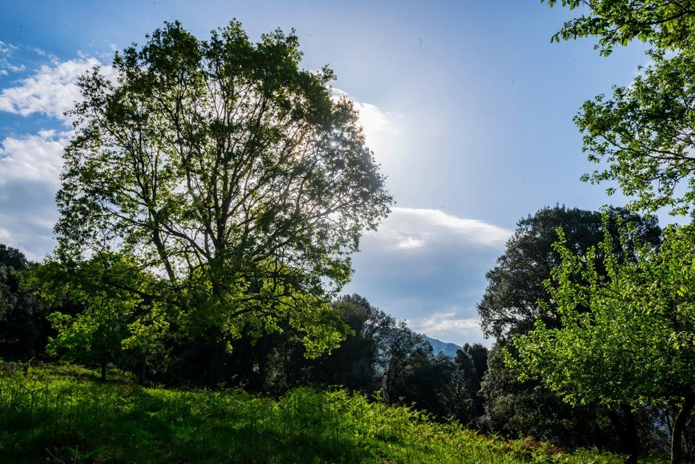 parques naturales