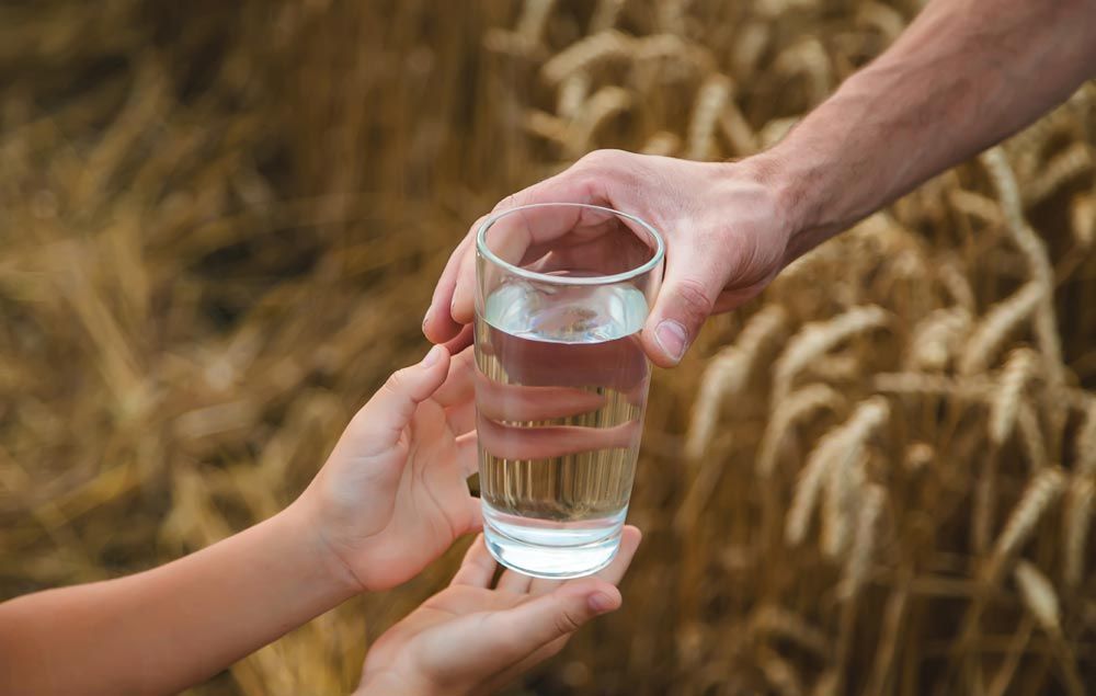 vaso de agua hidratación y sistema digestivo
