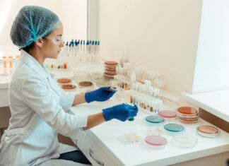 Nanotecnología en mis cosméticos Nanotecnología en cosmeticos