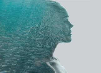NUA lanza Nualgae®DHA: el complemento vegetal con más DHA por perla en Europa Nualgae
