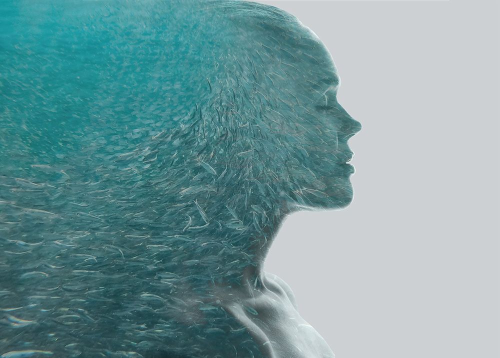 Nualgae