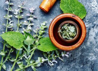La OMS impulsa la integración de la medicina tradicional en los sistemas de salud medicina tradicional