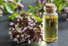 Aceite esencial de orégano: por qué la forma de uso marca la diferencia aceite-esencial