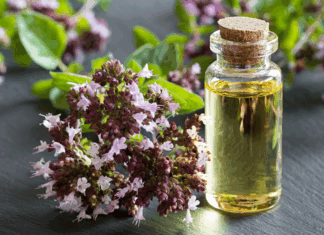 Aceite esencial de orégano: por qué la forma de uso marca la diferencia aceite-esencial