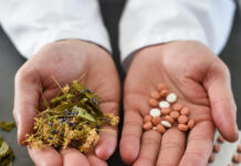 La fitoterapia gana protagonismo en la farmacia FITOTERAPIA
