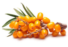 Omega-7: el guardián de las mucosas Espino amarillo