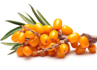 Omega-7: el guardián de las mucosas Espino amarillo