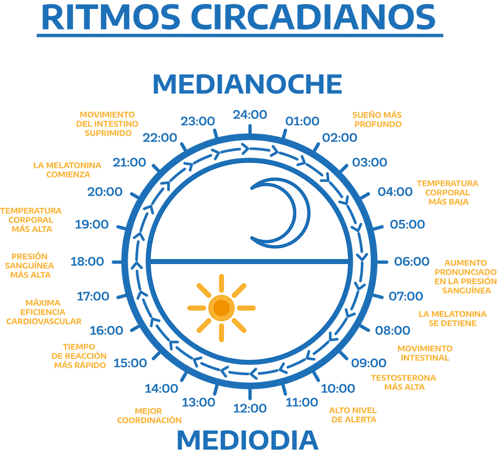 RITMOS CIRCADIANOS