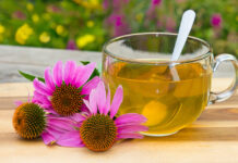 Bienestar de las mucosas y bienestar urinario Cup of herbal tea from echinacea used in alternative medicine a an immun sytem booster.