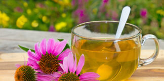 Bienestar de las mucosas y bienestar urinario Cup of herbal tea from echinacea used in alternative medicine a an immun sytem booster.