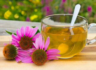Bienestar de las mucosas y bienestar urinario Cup of herbal tea from echinacea used in alternative medicine a an immun sytem booster.