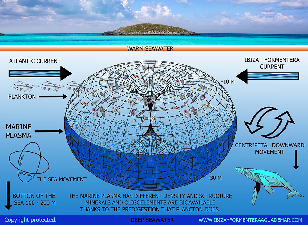 Agua de mar microfiltrada y purificada para el consumo