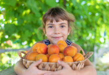 Las vitaminas que no pueden faltar en la alimentación de tu hijo Nutrición-infantil
