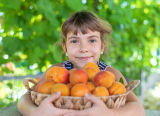 Las vitaminas que no pueden faltar en la alimentación de tu hijo Nutrición-infantil