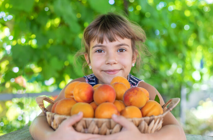 Las vitaminas que no pueden faltar en la alimentación de tu hijo Nutrición-infantil