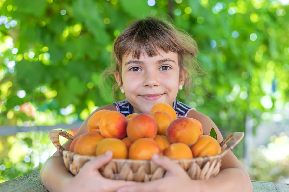 Nutrición-infantil