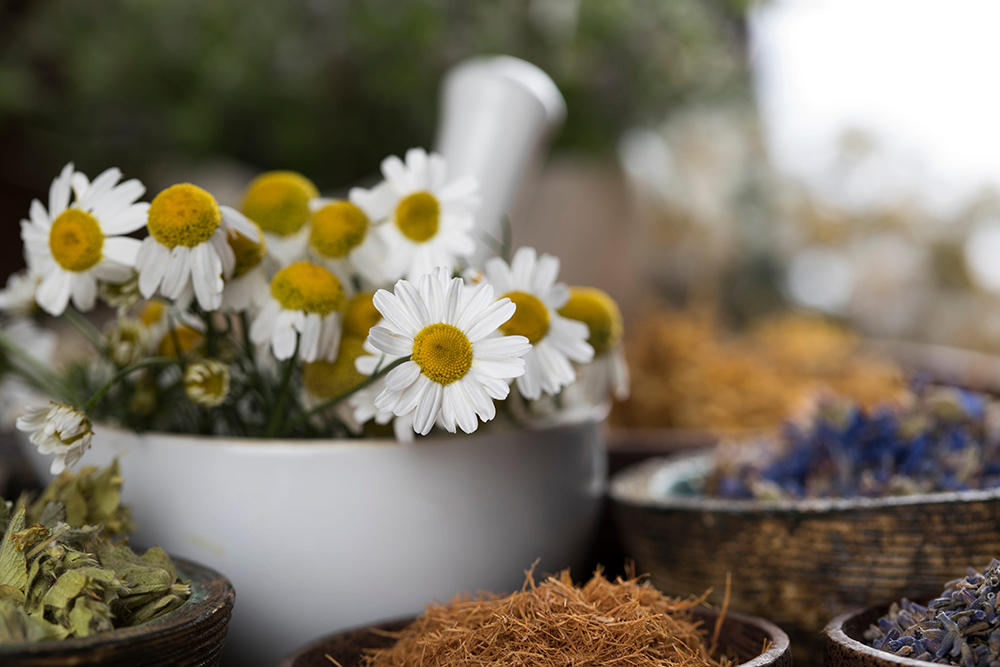 Mortar with herbs