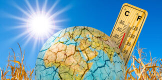La OMS pide tratar el calor extremo como una emergencia sanitaria heat and dryness