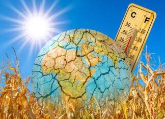 La OMS pide tratar el calor extremo como una emergencia sanitaria heat and dryness