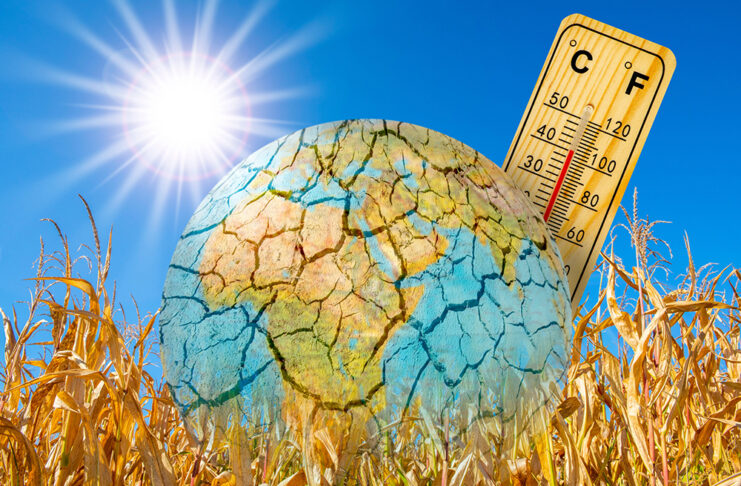 La OMS pide tratar el calor extremo como una emergencia sanitaria heat and dryness