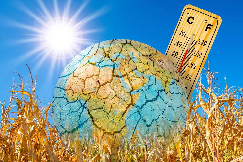 heat and dryness