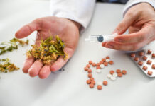 Oviedo impulsa la fitoterapia con un premio a la mejor comunicación científica fitoterapeuta